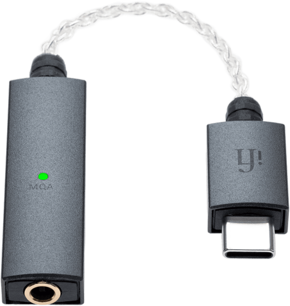 iFi GO link